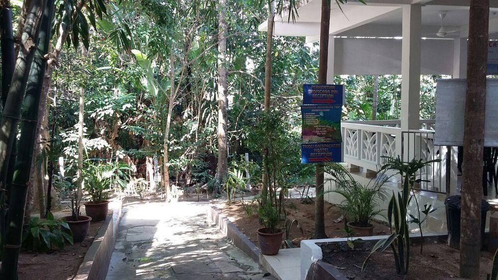 Perhentian Tropicana Inn Pulau Perhentian Kecil Exterior photo